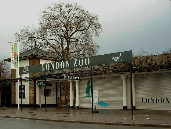 London Zoo